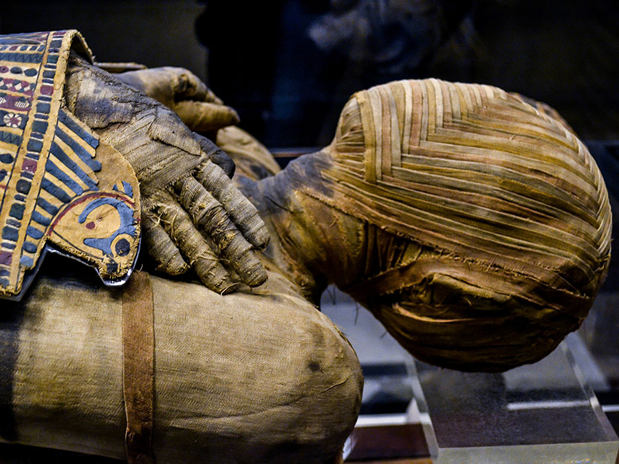 Predаvаnje “Prosthesis for the afterlife: a new look on Egyptian mummification”