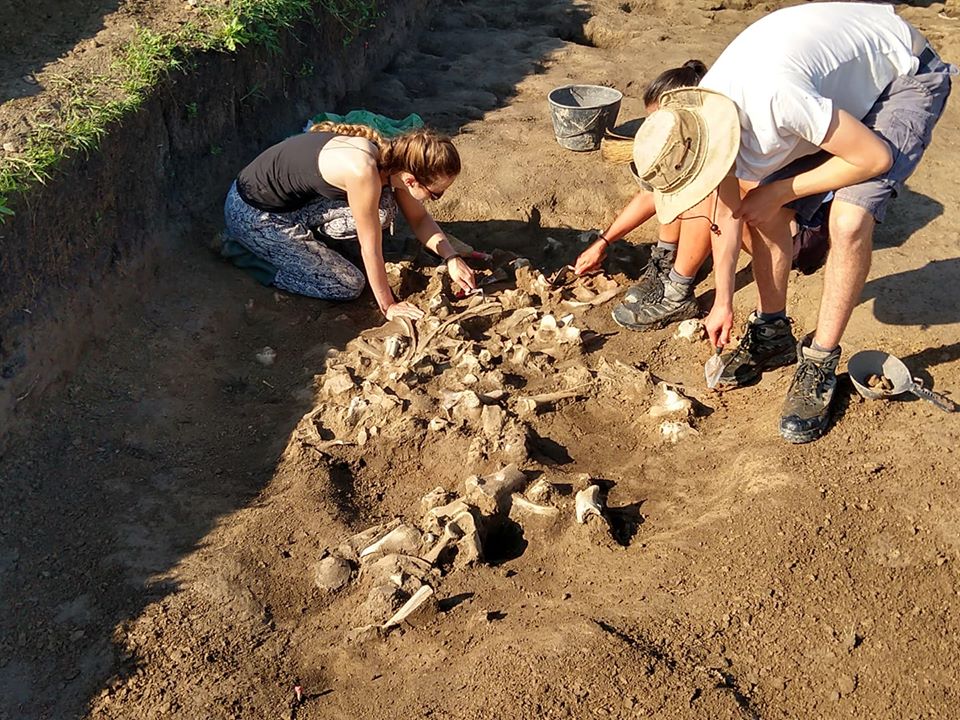 Nastavak arheoloških iskopavanja na lokalitetu Gradište-Iđoš