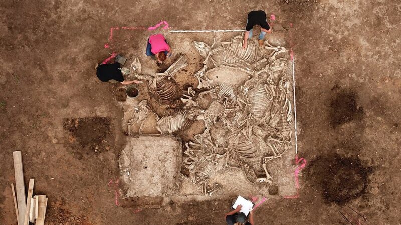 Pronađena grobnica germanskog gospodara ili princa sa skeletima šest žena
