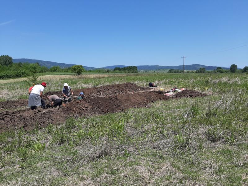 Arheološka istraživanja kasnoneolitskog naselja Srednje Polje u Bradarcu kod Aleksinca