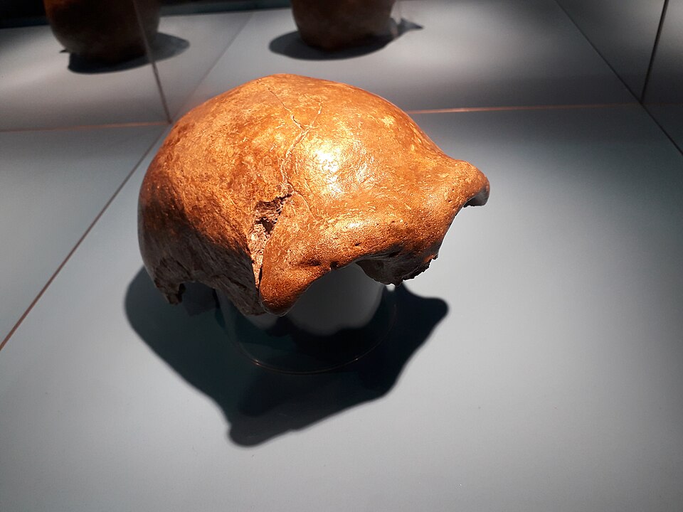 Skeletni ostaci 9 neandertalaca pronađeni u pećini južno od Rima