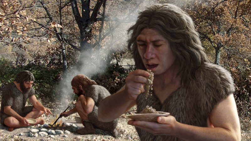 Zub neandertalca iz Pešturine kod Niša i povećanje mozga