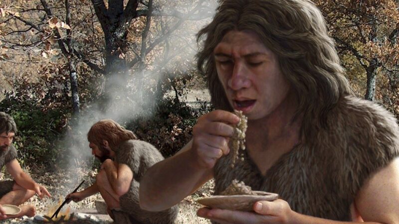 Zub neandertalca iz Pešturine kod Niša i povećanje mozga