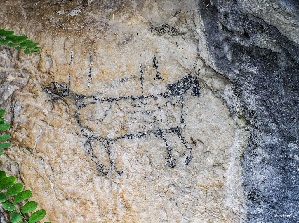 Jedini pećinski crtež u Srbiji nalazi se u selu Gabrovnica kod Knjaževca