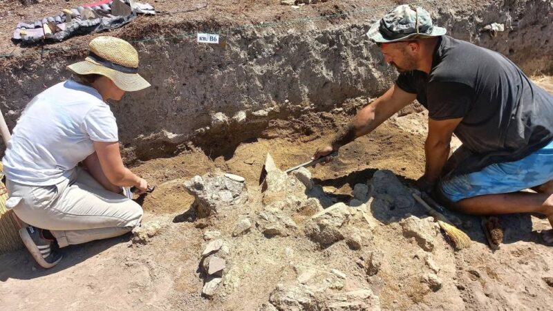 Tumba Madžari – neolitsko naselje „Velike majke“ nadomak Skoplja