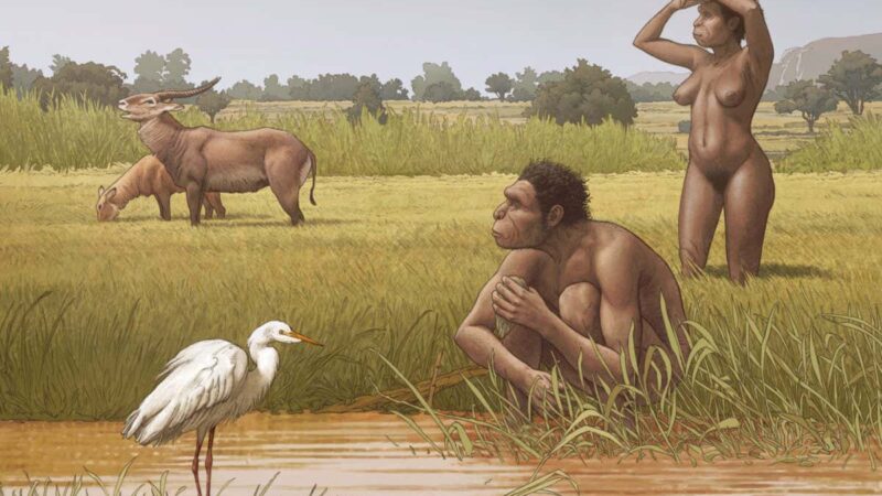 Srpski naučnici imenovali novu ljudsku vrstu-Homo bodoensis