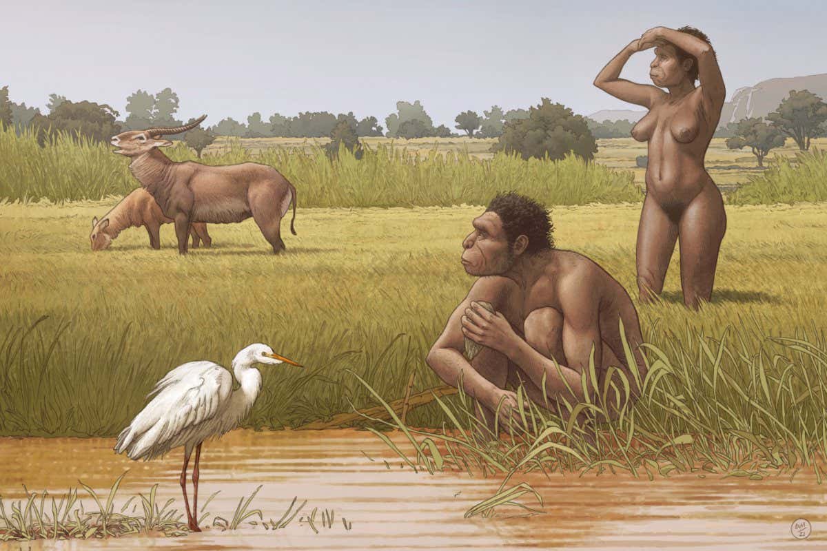 Srpski naučnici imenovali novu ljudsku vrstu-Homo bodoensis