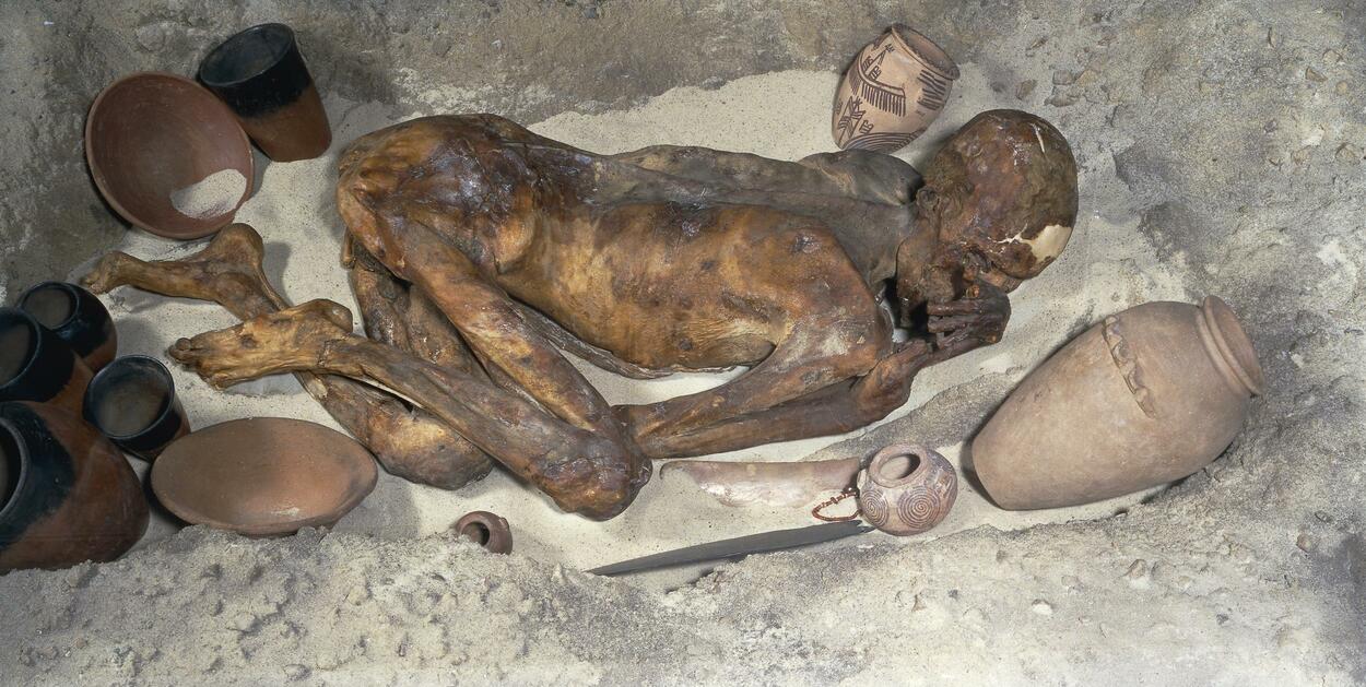 Najstarije figuralne tetovaže na svetu otkrivene su na 5000 godina starim mumijama