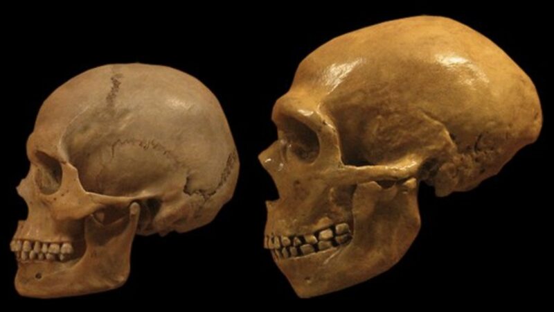 Ostaci 300.000 godina starih neandertalaca otkriveni su u pećini Velika Balanica u Sićevačkoj klisuri