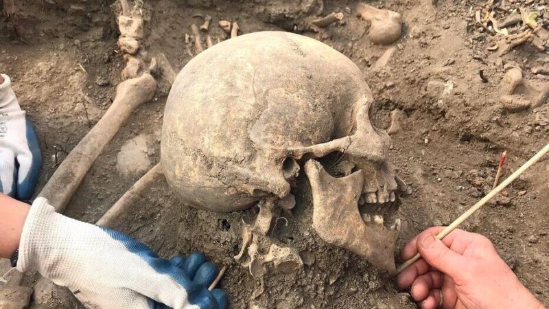 Nasilne povrede na skeletnim ostacima kulture Lepenski vir na Đerdapu