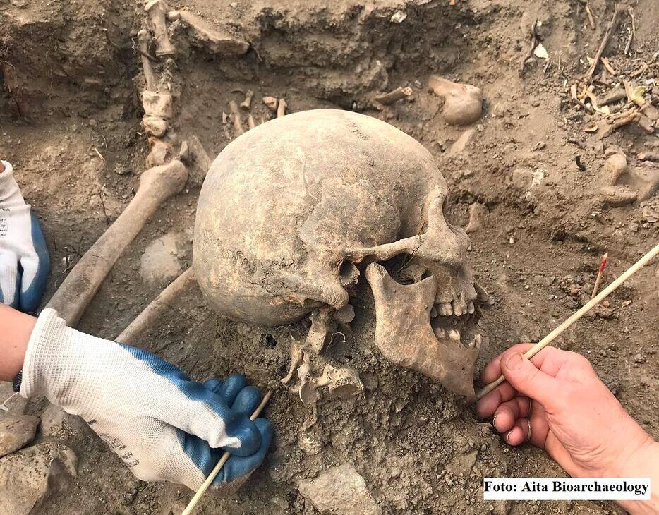 Nasilne povrede na skeletnim ostacima kulture Lepenski vir na Đerdapu