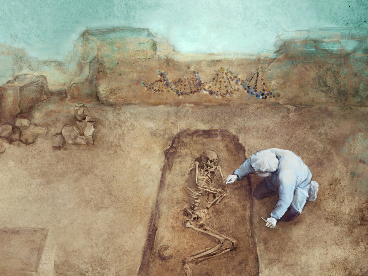 Drevni ljudi u neolitu su imali niži telesni rast u odnosu na ranije periode