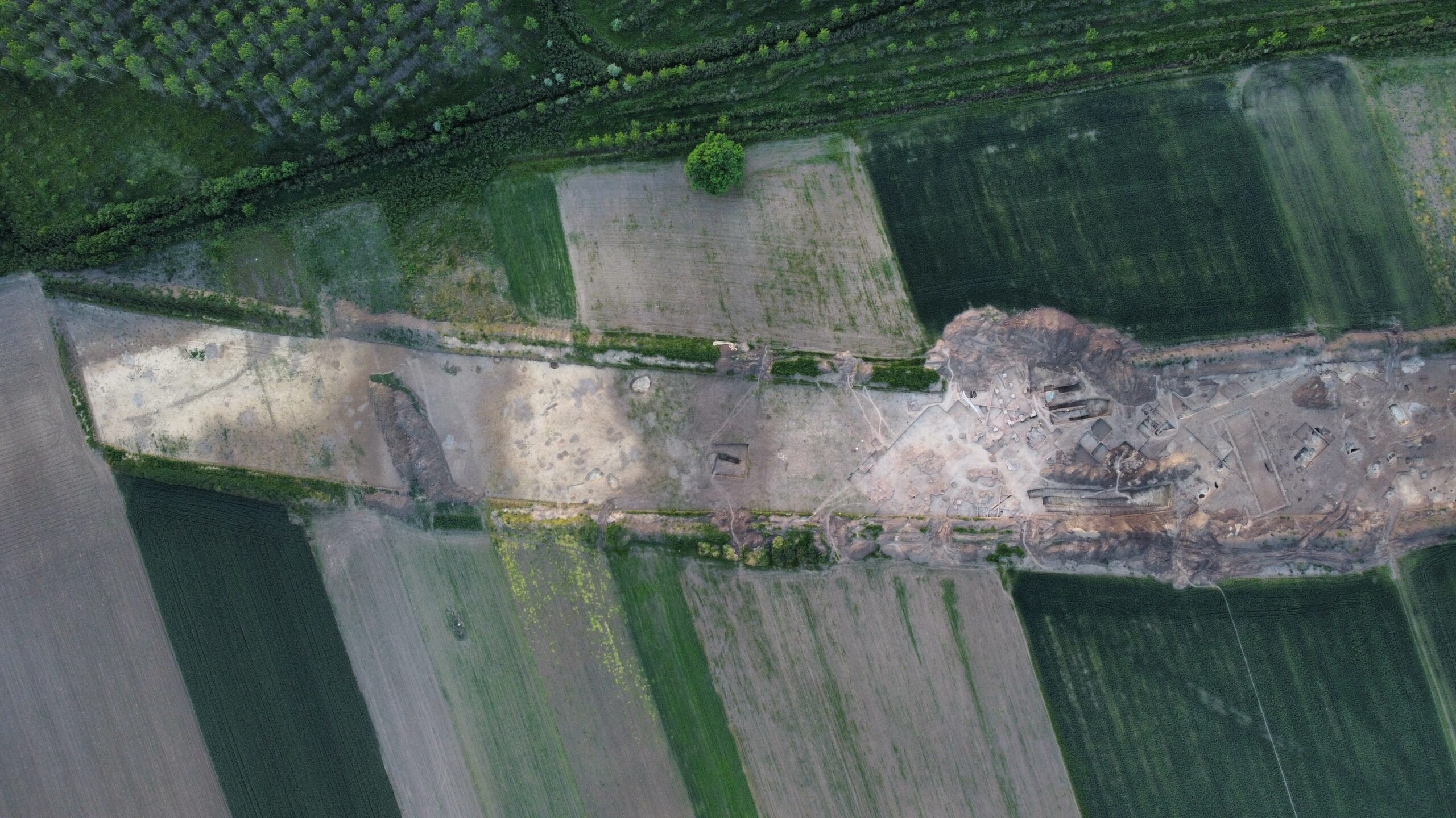 Putevi budućnosti otkrivaju prošlost-najveća zaštitna arheološka iskopavanja u Srbiji na trasi budućeg autoputa Loznica – Ruma
