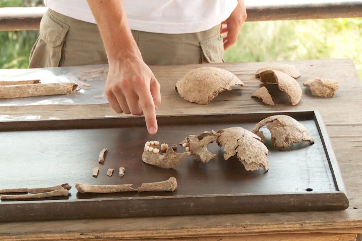 Arheolozi iz Austrije i Bosne i Hercegovine su u Gradišću otkrili najstarije ljudske ostatke