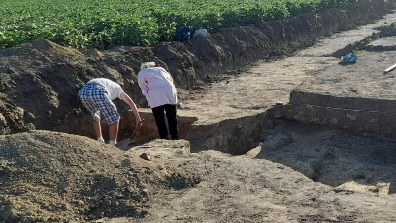 Arheolozi sprovode zaštitna arheološka istraživanja na putu Sivac-Stapar