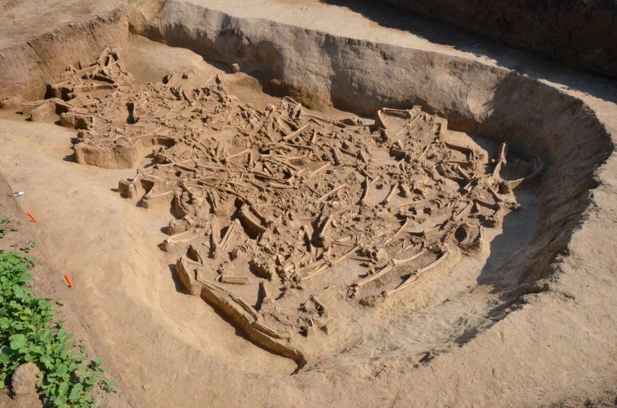 Otkrivena je 8.000 godina stara masovna grobnica sa više od 30 pokojnika