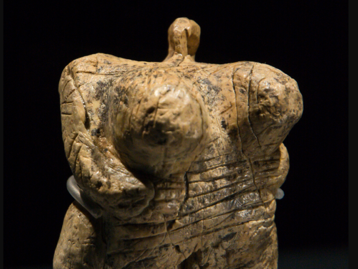 Najstarija figurina na svetu stara je 35.000 godina