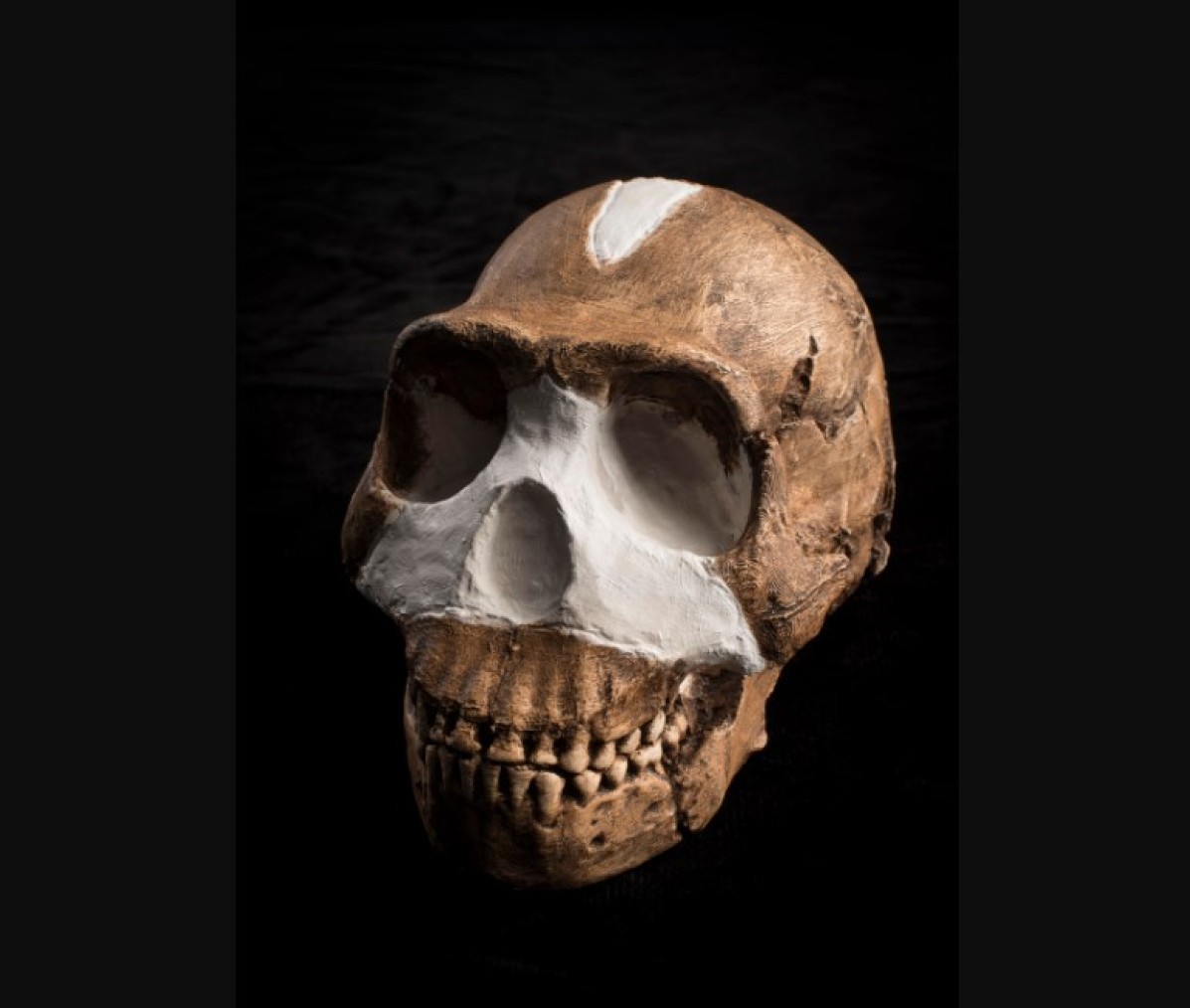 Homo naledi je koristio vatru pre 236.000 godina
