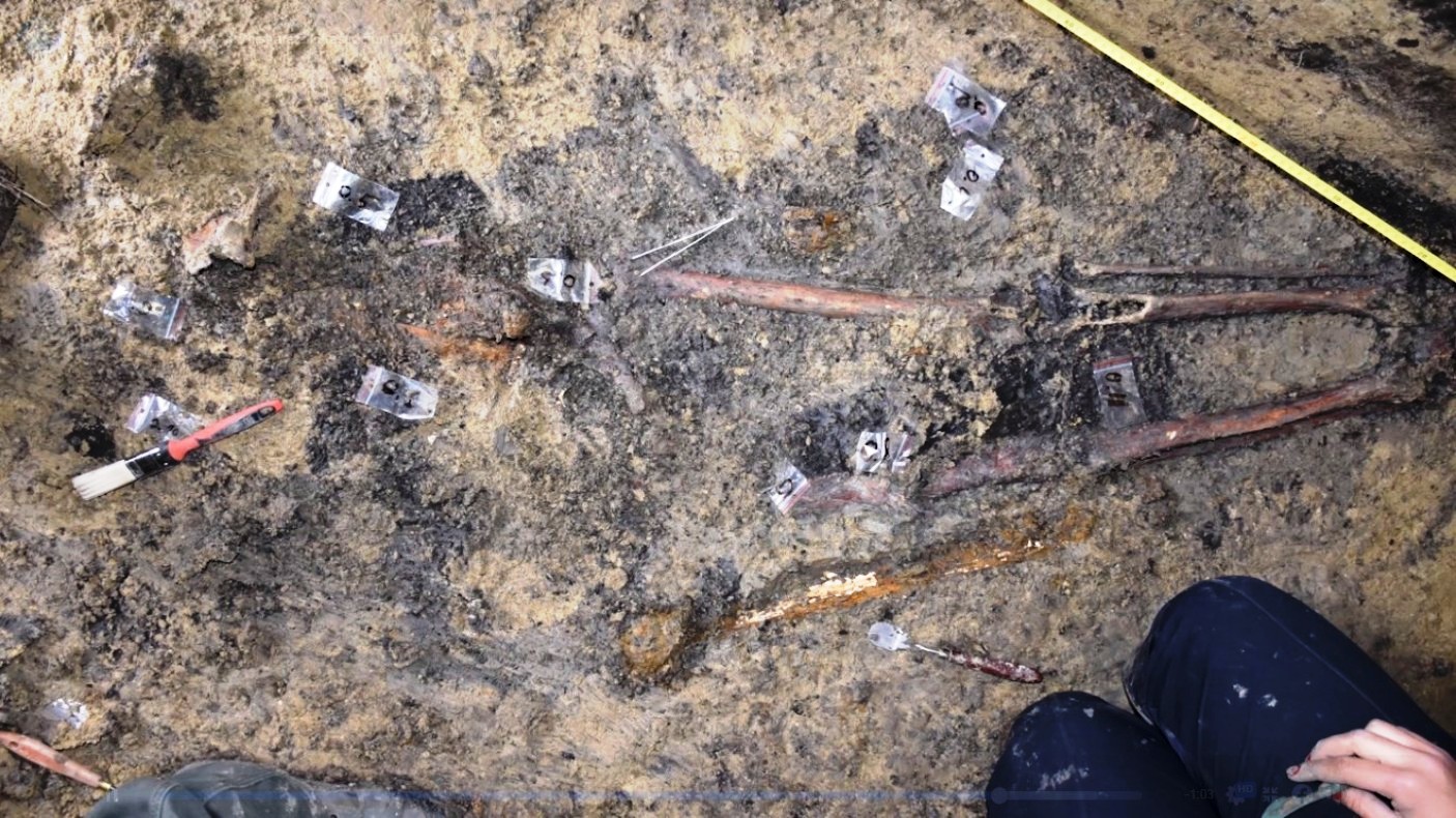 Arheolozi otkrili sahranu ratnika sa konjem