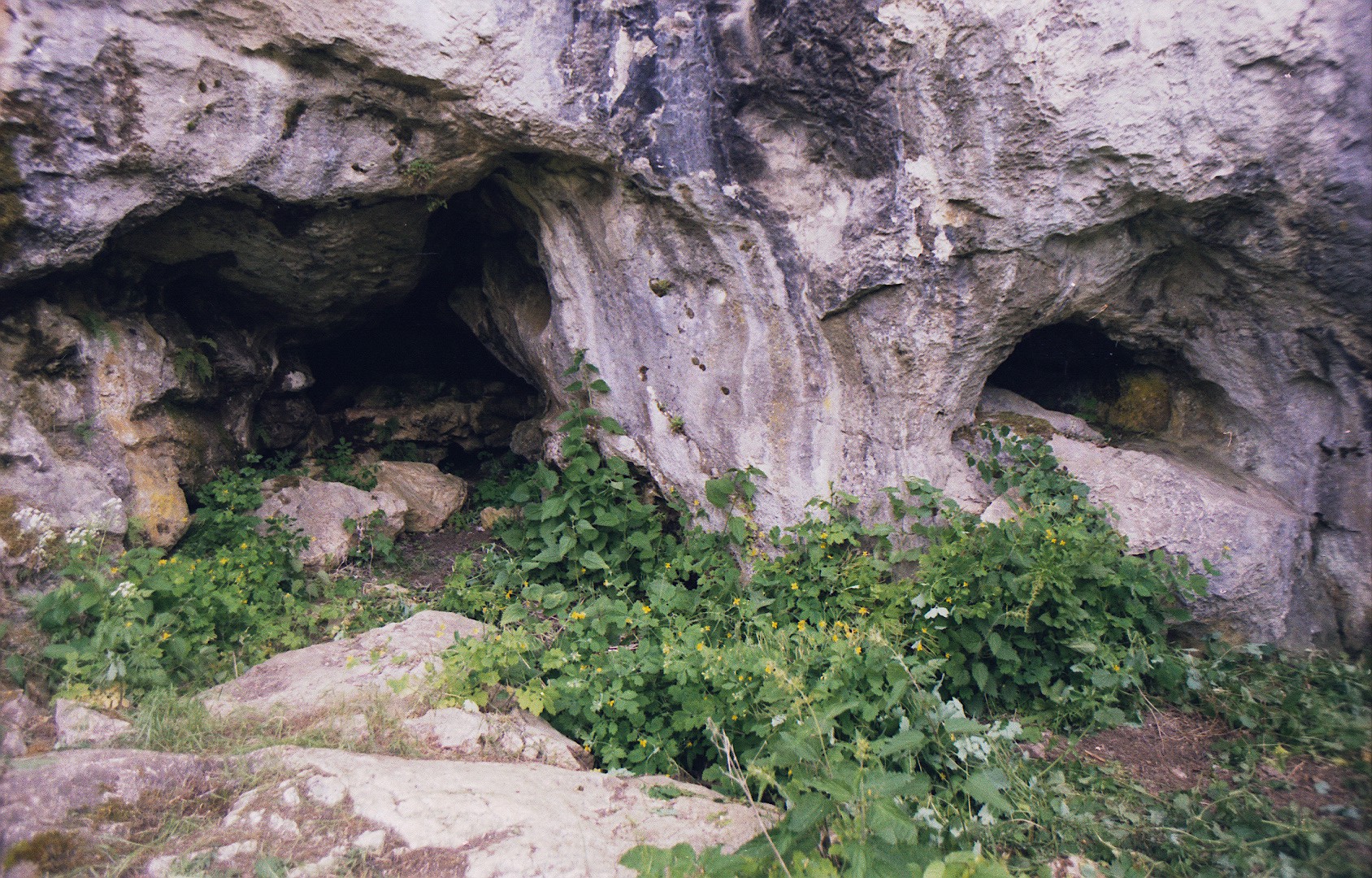 Praistorijska umetnost u Pećini pod lipom
