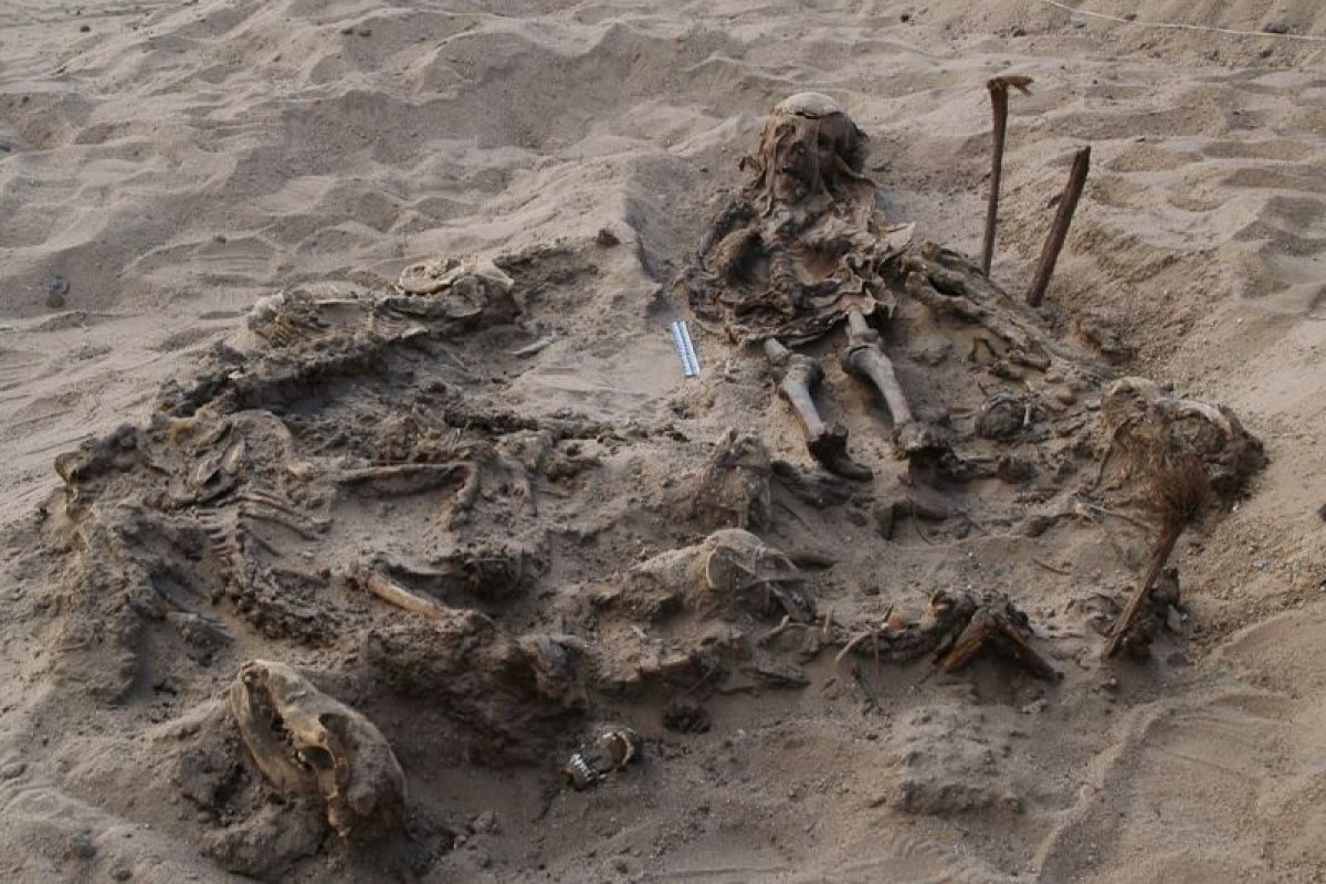Arheolozi pronašli sahranu deteta sa 142 psa