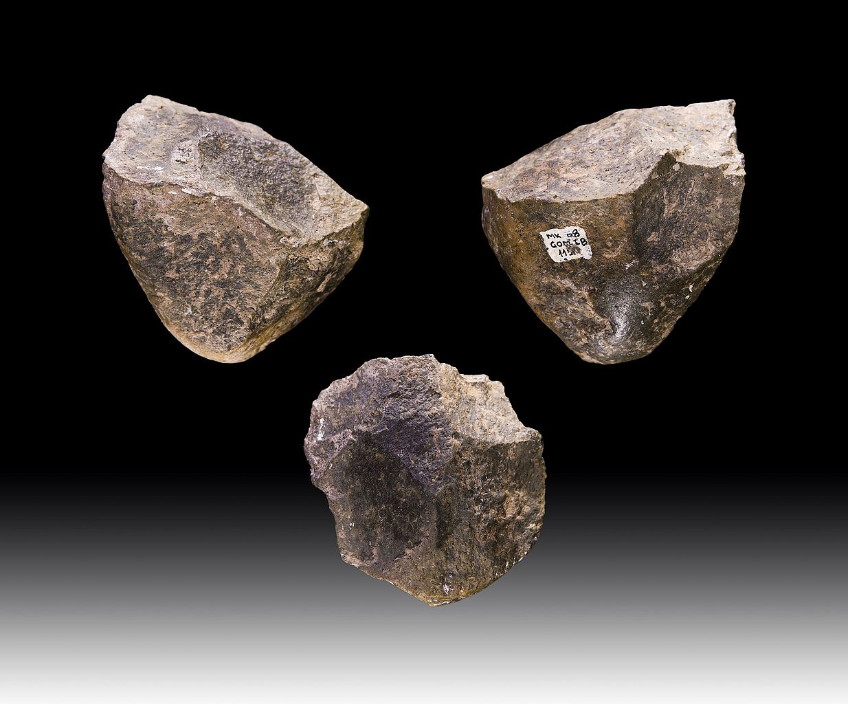Pre 3 miliona godina izrađeno najstarije kameno oruđe