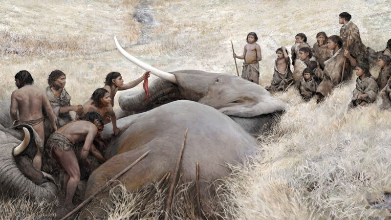 Slonove su prvi lovili neandertalci