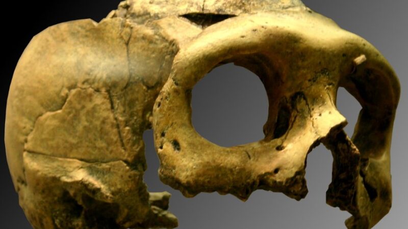 Nova saznanja o neandertalcima iz Krapine: umirali su mladi