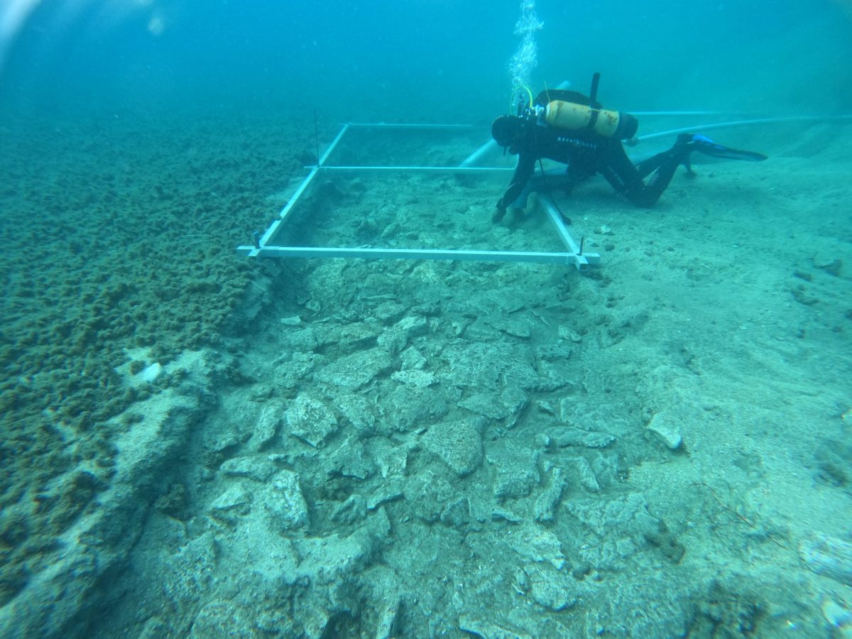 Podvodnim istraživanjima arheolozi ispod mora otkrili 7.000 godina star put i ostatke naselja iz neolita