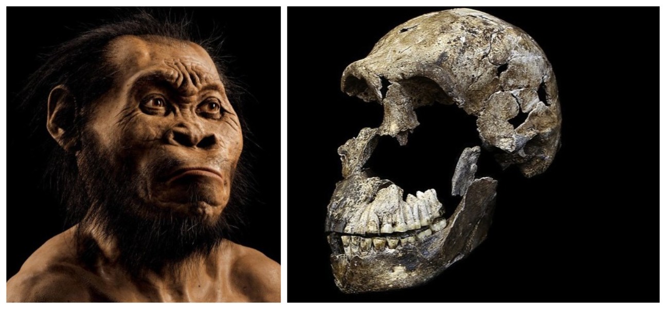 Kontroverzni dokaz: Homo naledi sahranjivao svoje mrtve 100.000 godina pre prvih poznatih sahrana