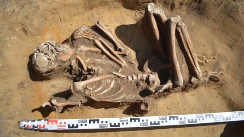 Otkrivena sahrana prvog neolitskog zemljoradnika od pre 7.000 godina