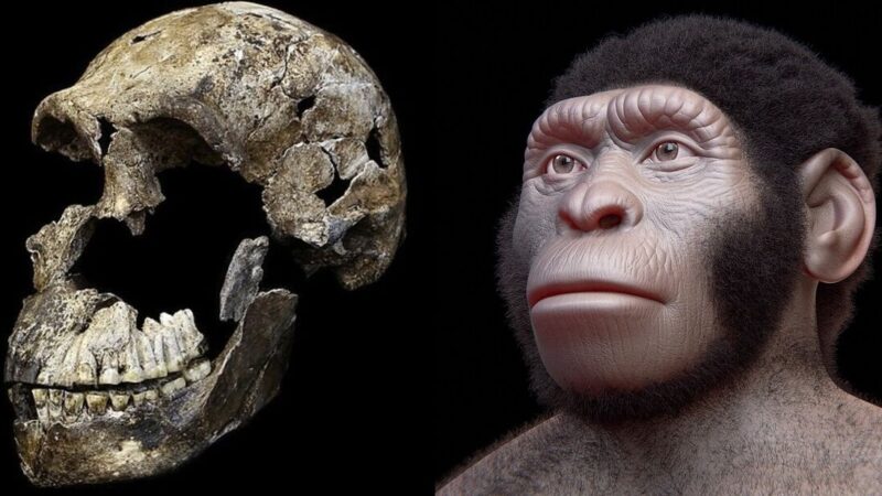 Homo naledi sahranjivao svoje mrtve 100.000 godina pre prvih poznatih sahrana?