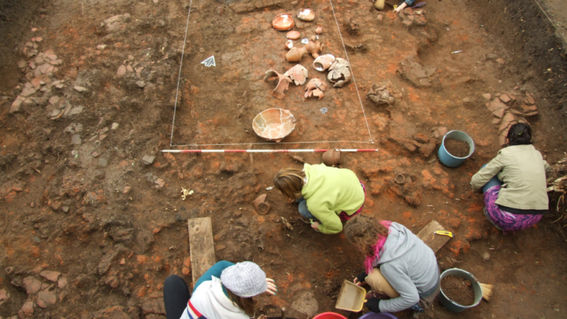 Decenijska arheološka istraživanja nalazišta Drenovac donela su otkriće jedinstvenog višeslojnog neolitskog naselja