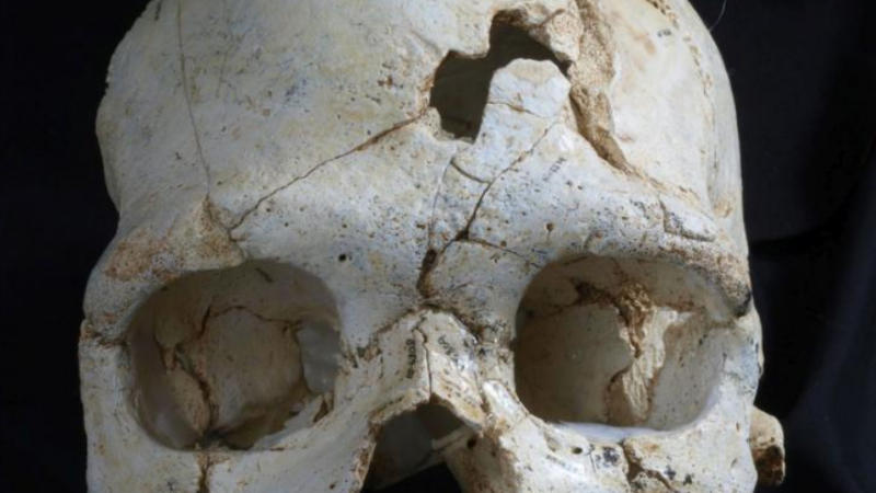 Najstarije ubistvo arheološki je dokazano