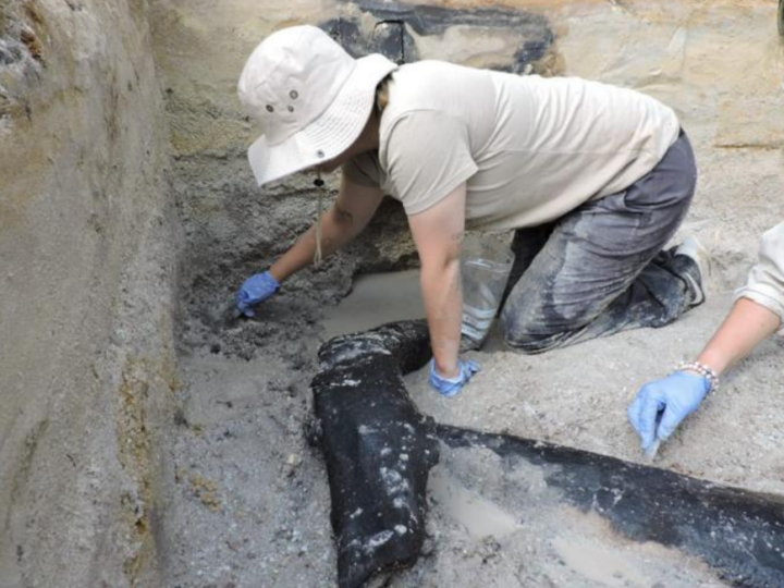 Arheolozi su otkrili najstariju drvenu strukturu staru 476.000 godina