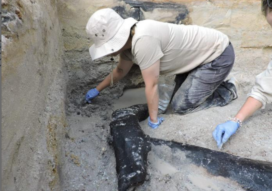 Arheolozi su otkrili najstariju drvenu strukturu staru 476.000 godina