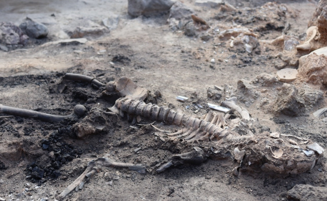 Nesvakidašnje otkriće arheologa: pronađeni ostaci mozga i kože u naselju iz bronzanog doba