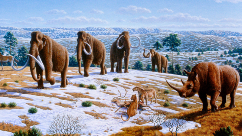 Masovno zahlađenje pre 1.1 milion godina zbrisalo je prve ljude