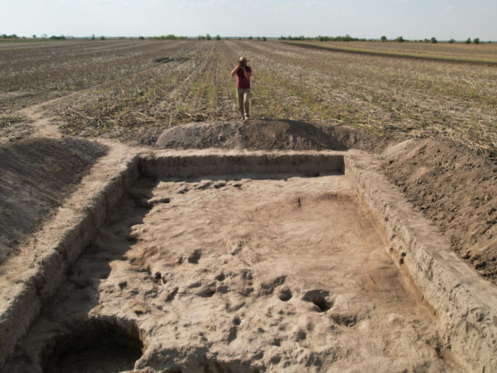 Prva sistematska iskopavanja na arheološkom nalazištu Perlek-Oranice Berkeša kod Bečeja pružila su zanimljiva saznanja