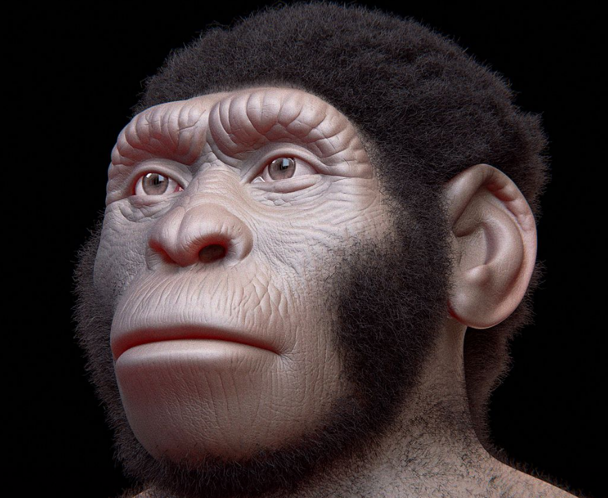 Nema dokaza da je Homo naledi namerno sahranjivao mrtve i da je stvarao umetnost