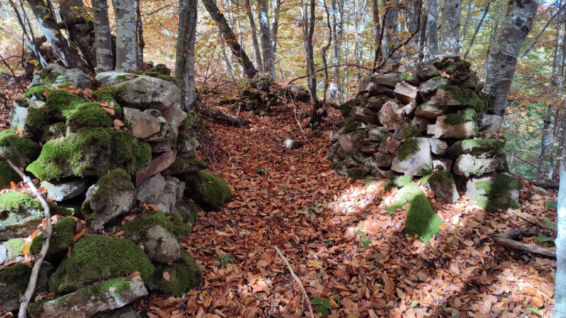 Arheolozi na teritoriji opštine Crna Trava evidentirali 62 lokaliteta, ali i tragove divljih kopača