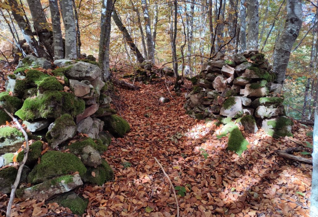 Arheolozi na teritoriji opštine Crna Trava evidentirali 62 lokaliteta, ali i tragove divljih kopača