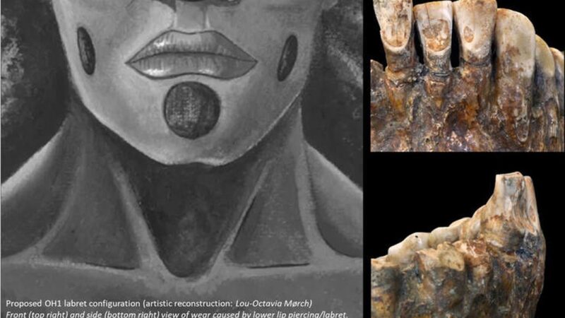 Pronađen najraniji dokaz za pirsing na licu praistorijskog čoveka u Africi