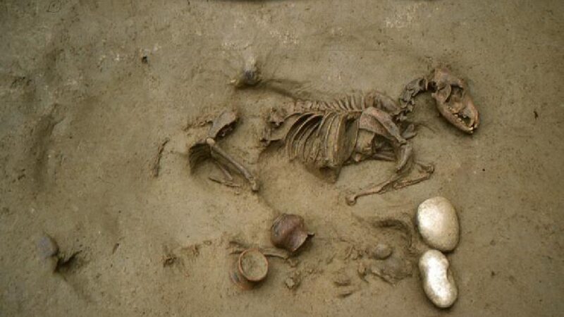 “Dok nas smrt ne rastavi” čudni običaji drevnih ljudi