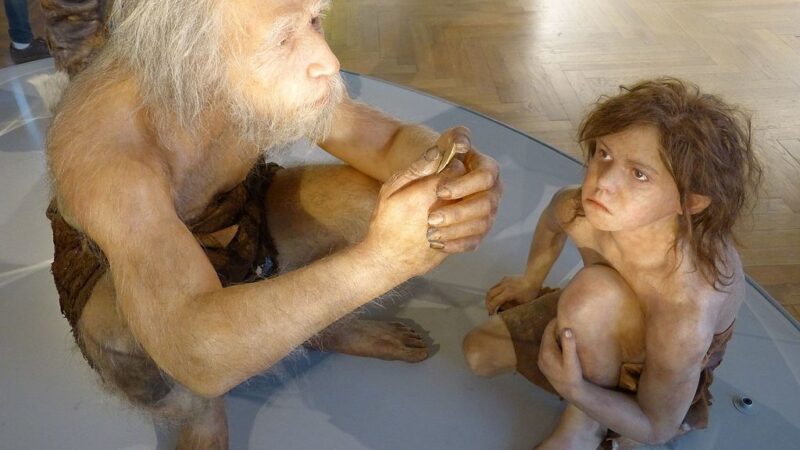 Prvi poznati slučaj – Neandertalci bili zaraženi tuberkulozom pre 35.000 godina