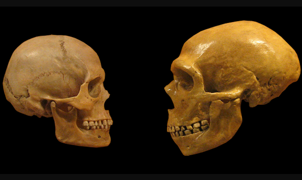 Neandertalci i ljudi živeli su jedni pored drugih pre 45.000 godina