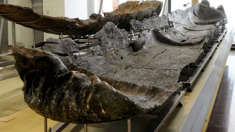 Pronađeni kanui stari 7.000 godina za plovidbu morem