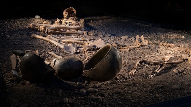 Bakterije su ubijale praistorijske ljude u kamenom dobu