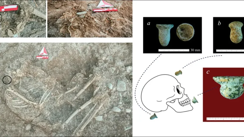 Arheolozi pronašli najstarije pirisinge u 11.000 godina starim grobovima