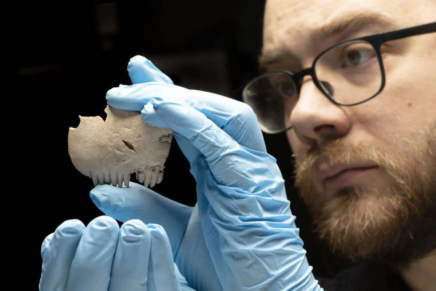 Pronađen 2.000 godina star češalj za kosu od ljudske lobanje